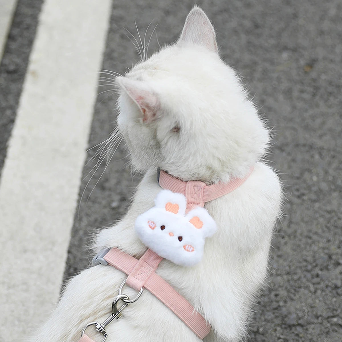 Soft Harness & Leash Set for Cats and Small Dogs | Pawly