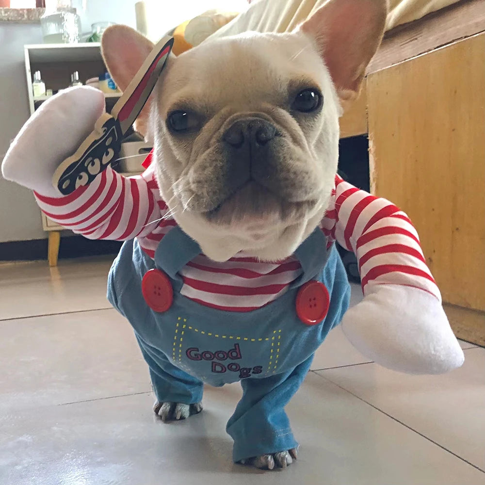 Halloween Cosplay Costume for Dogs & Cats | Pawly