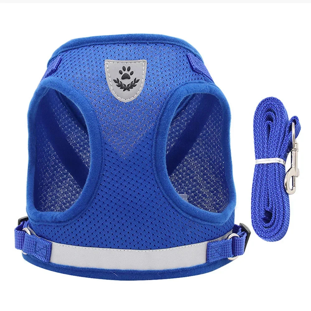 Reflective Escape-Proof Cat & Dog Harness with Leash | Pawly