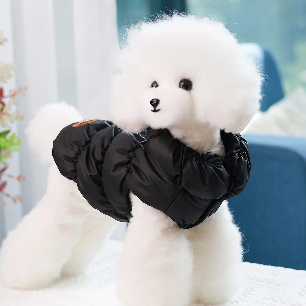 Padded Winter Coat for Small Dogs & Cats | Pawly