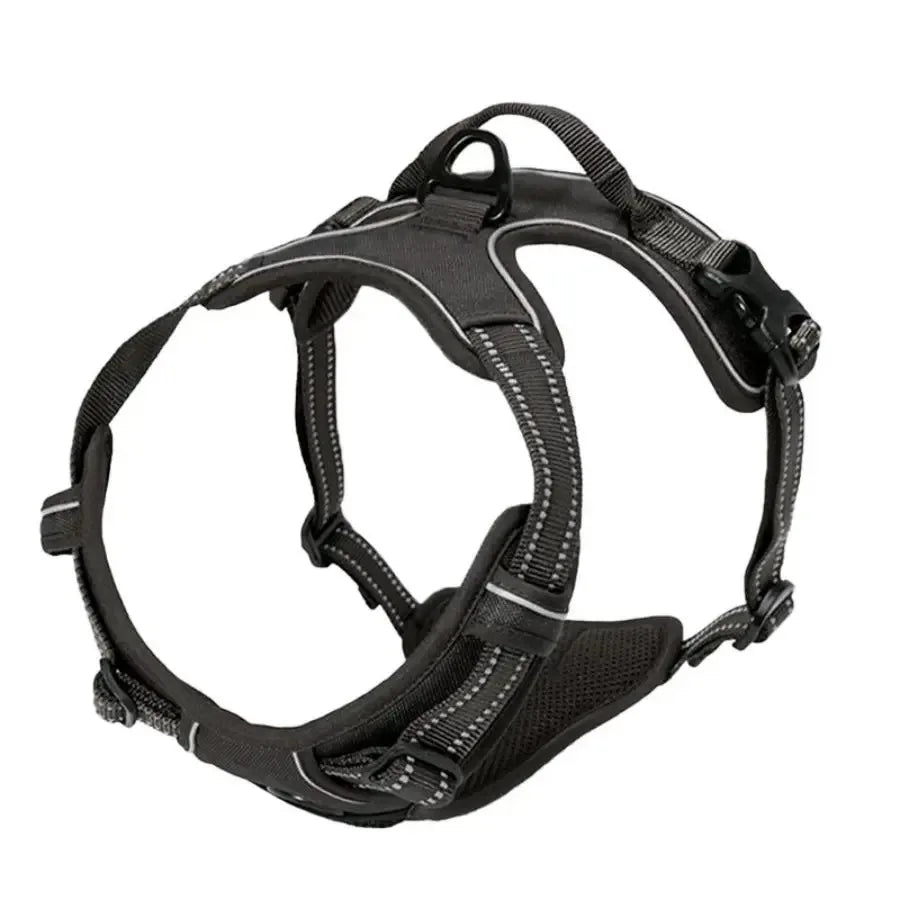 Vest Harness & Leash Set for Small & Medium Dogs | Pawly