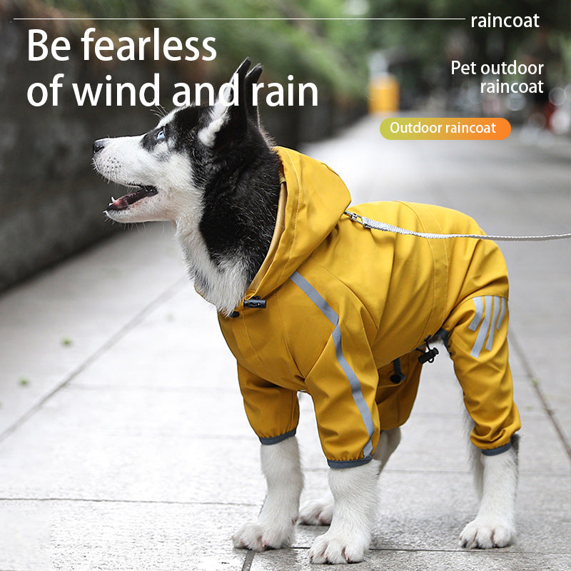 Dog wearing yellow cape-style raincoat - lifestyle photo