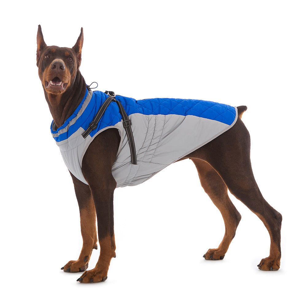 Dog wearing blue fleece-lined waterproof jacket - front view