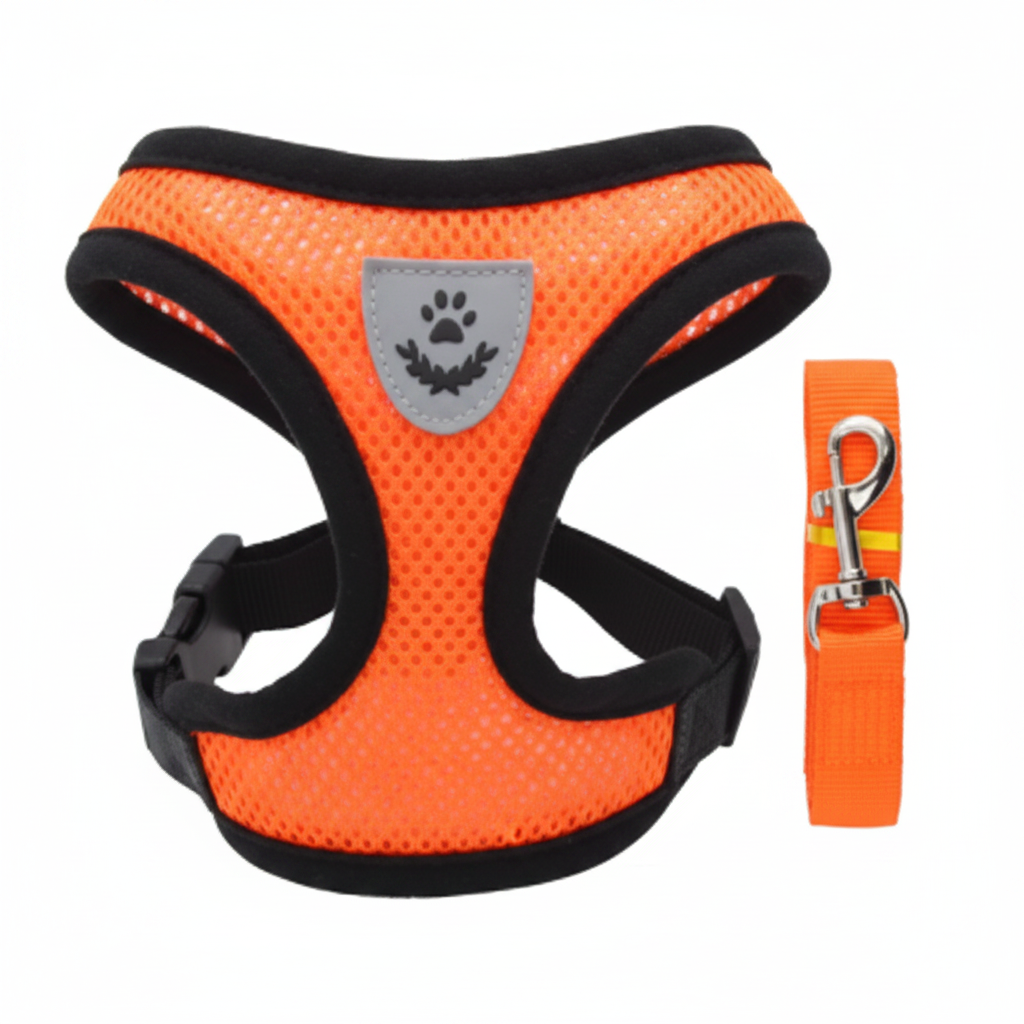 Mesh Vest Harness & Leash for Cats and Small Dogs - Orange | Pawly